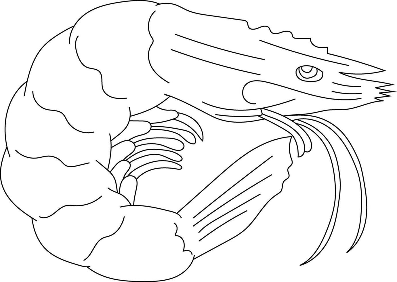 Outline Shrimp Clipart for Lovers of Marine Life vector