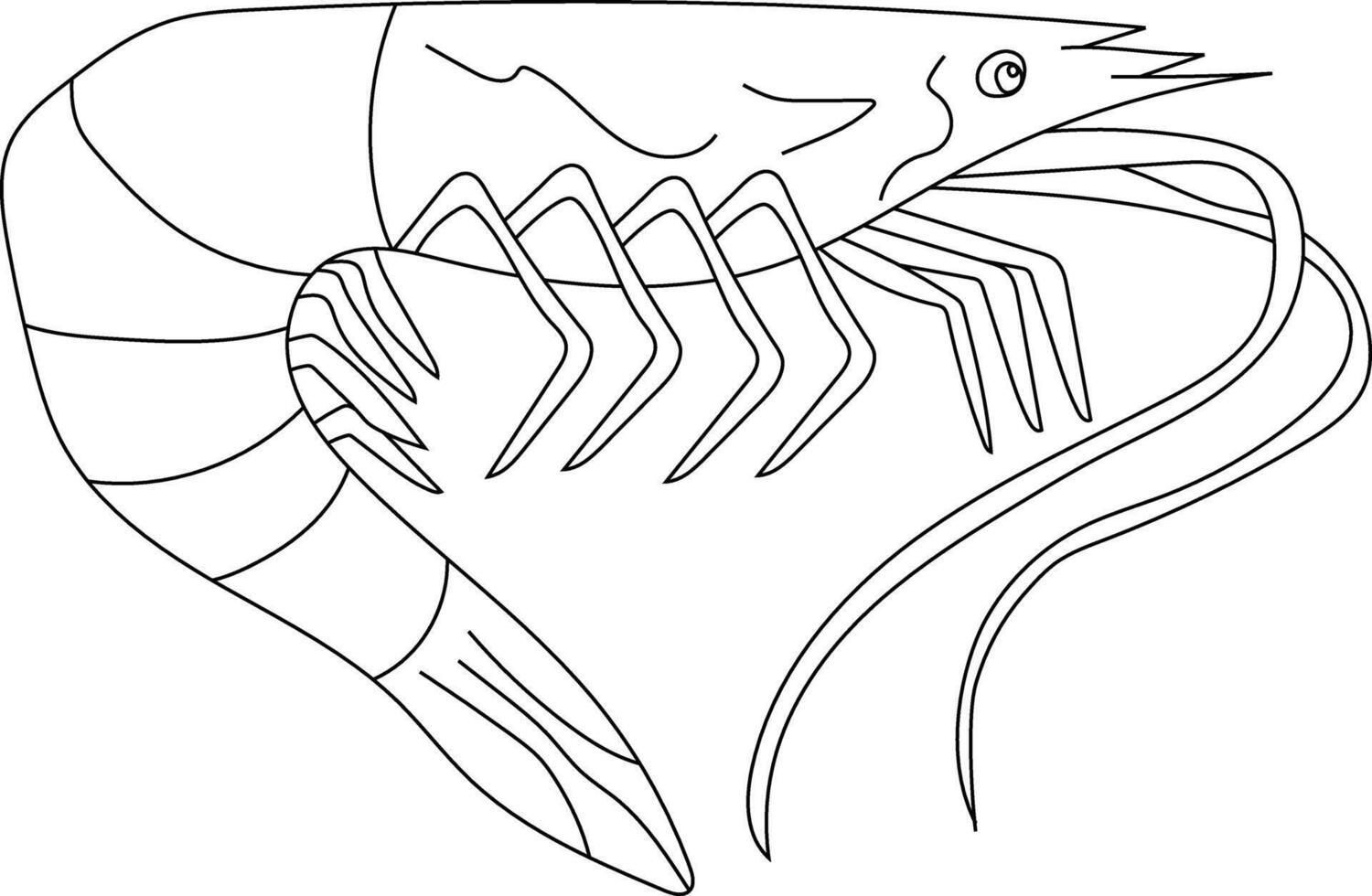 Outline Shrimp Clipart for Lovers of Marine Life vector