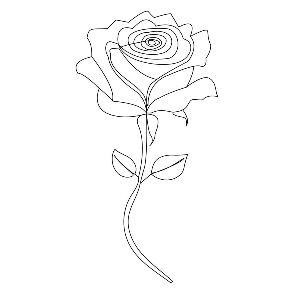 continuo uno línea rojo Rosa flor contorno vector Arte ilustración en blanco antecedentes Pro vector