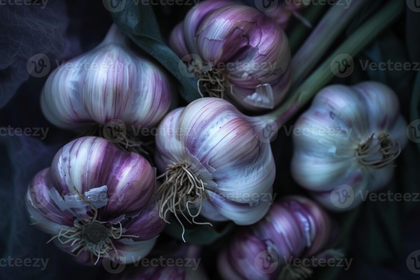 ai generado de cerca de púrpura ajo bombillas con raíces muestra Fresco orgánico ingredientes para Cocinando foto