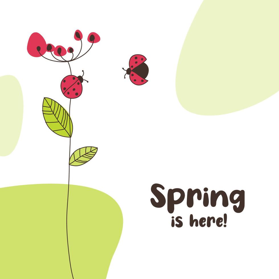 primavera es aquí. dos mariquitas dibujo. celebracion saludo tarjeta. vector
