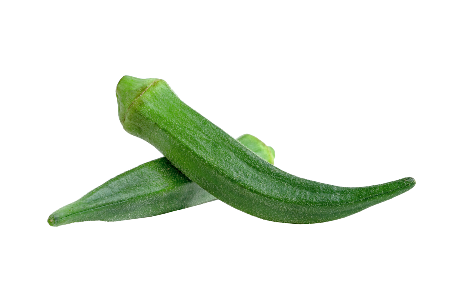 green okra isolated png