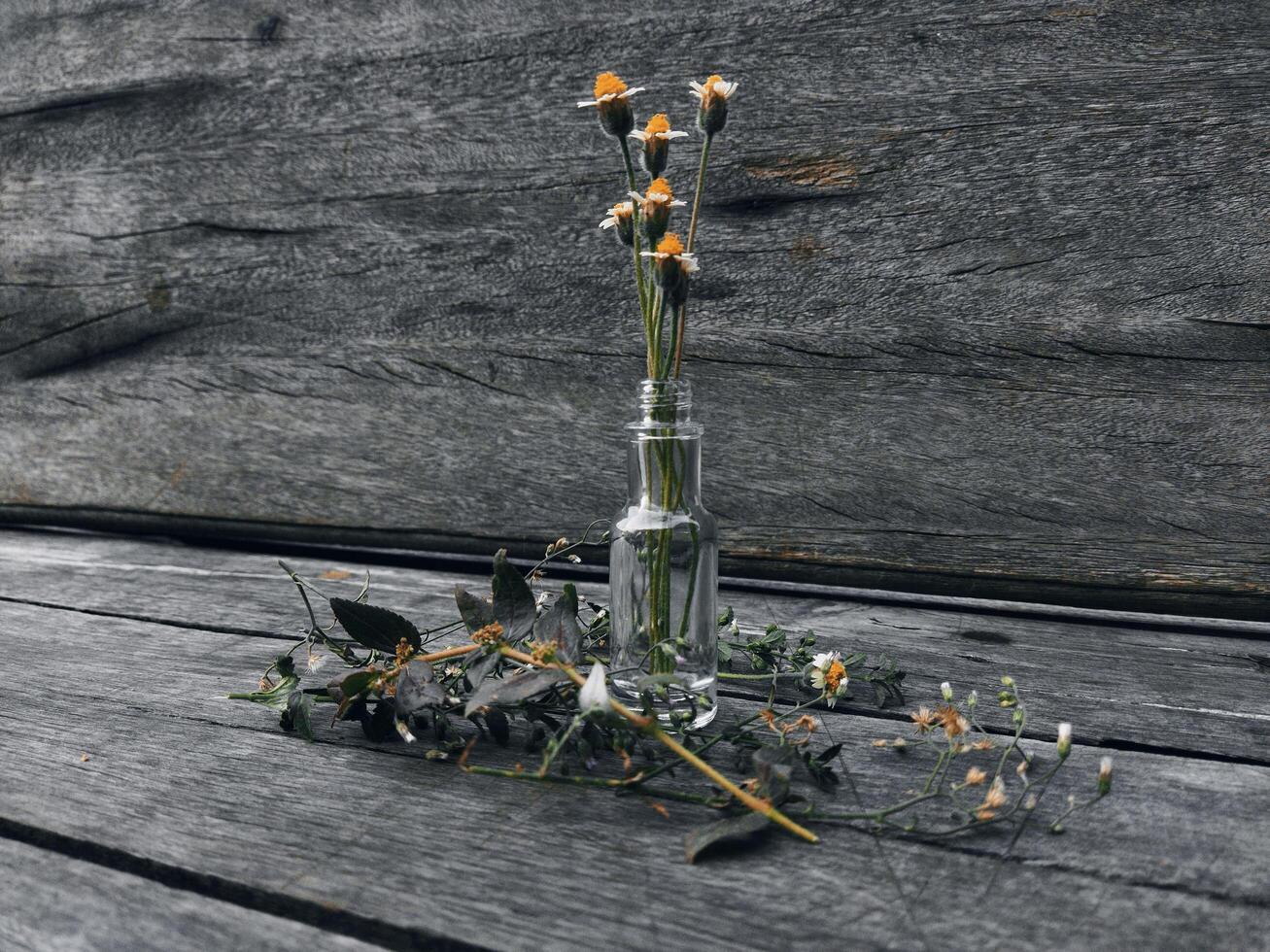 Wild flowers in the bottle vase photo