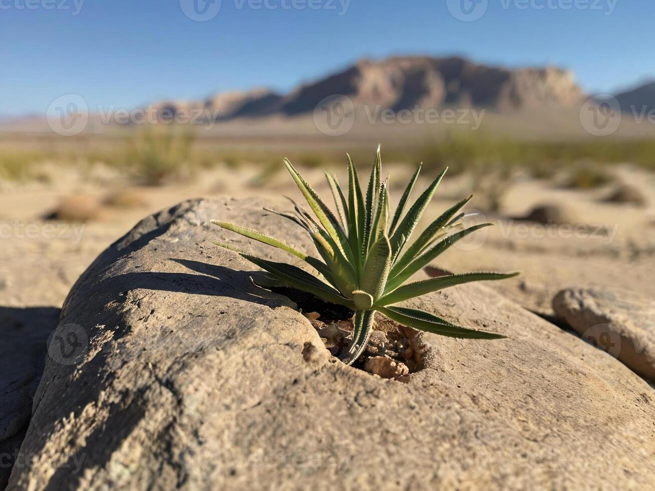 AI generated A plant seedling grows on a rock in the desert on sunny day photo
