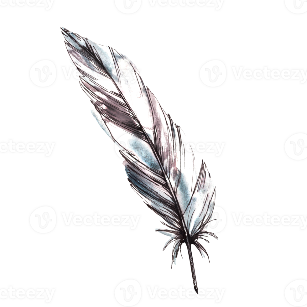 Watercolor set monochrome bird feather with splashes, brush stroke. Hand drawn illustration, clipart png