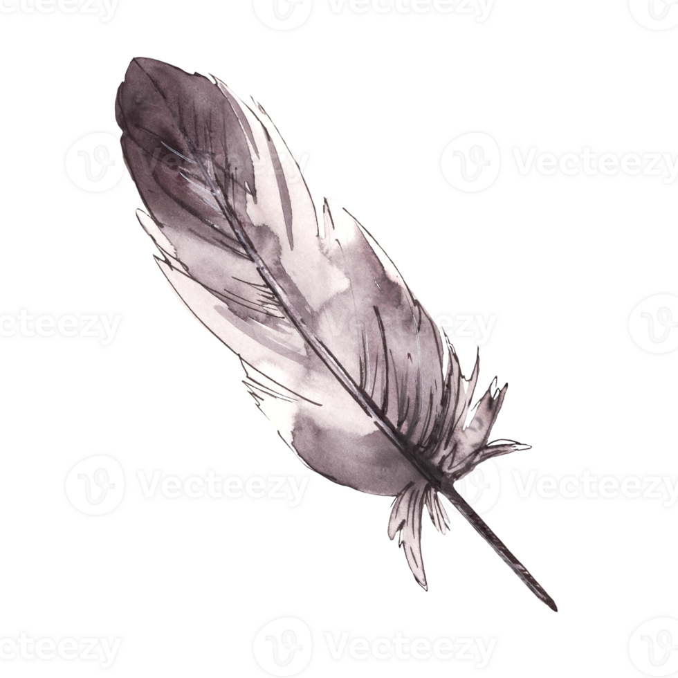 Watercolor set monochrome bird feather with splashes, brush stroke. Hand drawn illustration, clipart png