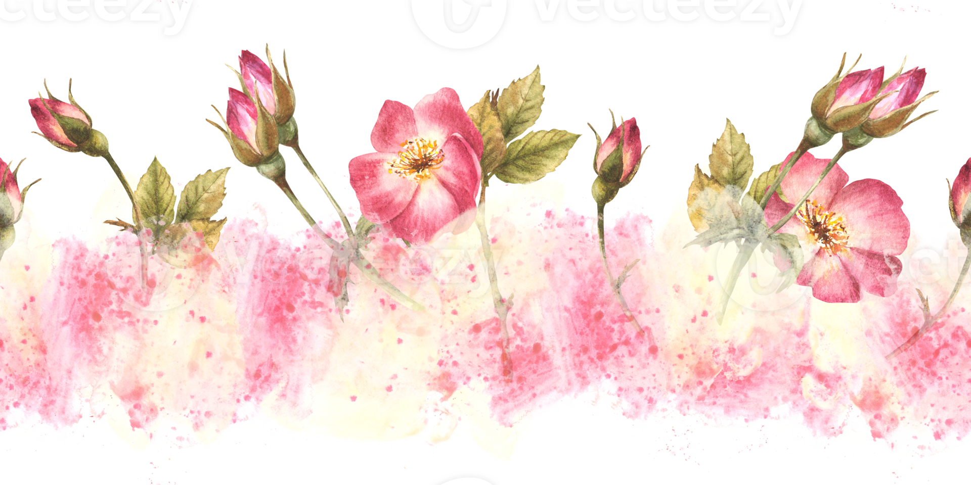 wild roos heup knoppen, bladeren, hond, kanker of brier roos bloemen im bloeien naadloos grens patroon Aan waterverf roze geel vlekken, spatten achtergrond inpakken, behang hand- getrokken illustratie png