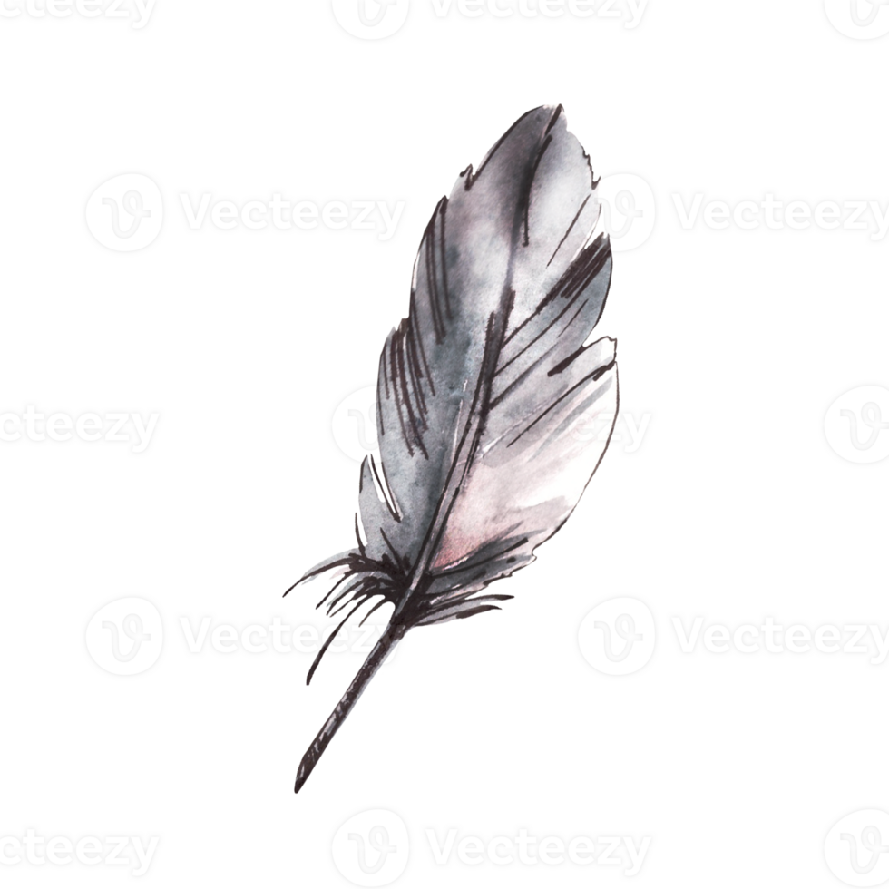 Watercolor set monochrome bird feather with splashes, brush stroke. Hand drawn illustration, clipart png