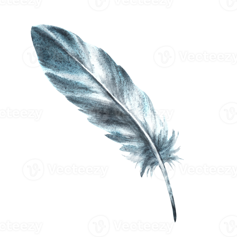 Watercolor monochrome bird feather gray black color with granulation of shades and natural ornaments. Real wings Hand drawn illustration. Clipart for logo, print, sticker background png
