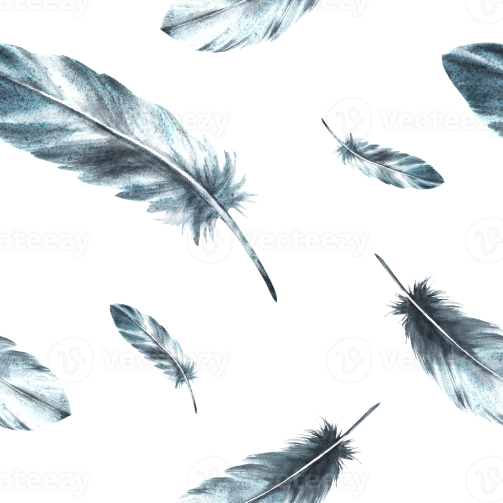 Watercolor seamless pattern with monochrome bird feathers grey black color with granulation of shades, ornaments. Quills wings drawing illustration. Wallpaper wrapping fabric Isolated white background png