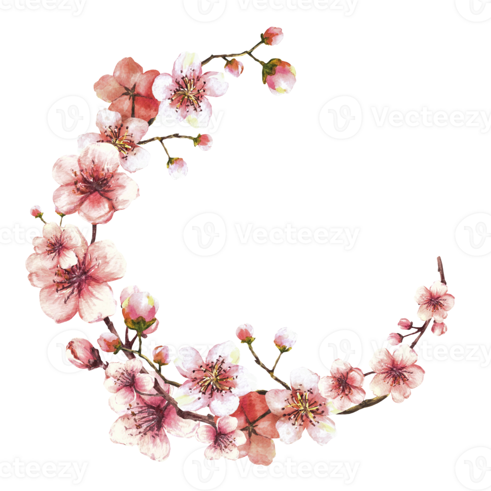 une épanouissement branche de printemps arbre couronne, cercle modèle. sakura, cerise, Pomme ou abricot bourgeons et fleurs fleurs printemps aquarelle clipart main tiré illustration Contexte png