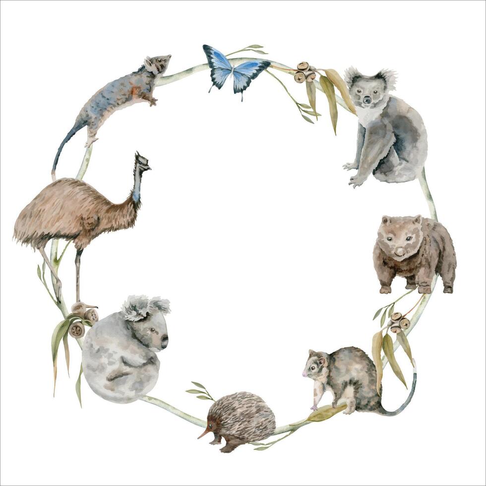 Australian koala and wombat native animals round wreath frame. Watercolor isolated illustration with hand drawn emu ostrich, possum and echidna for national endemic Australia wildlife design and cards vector