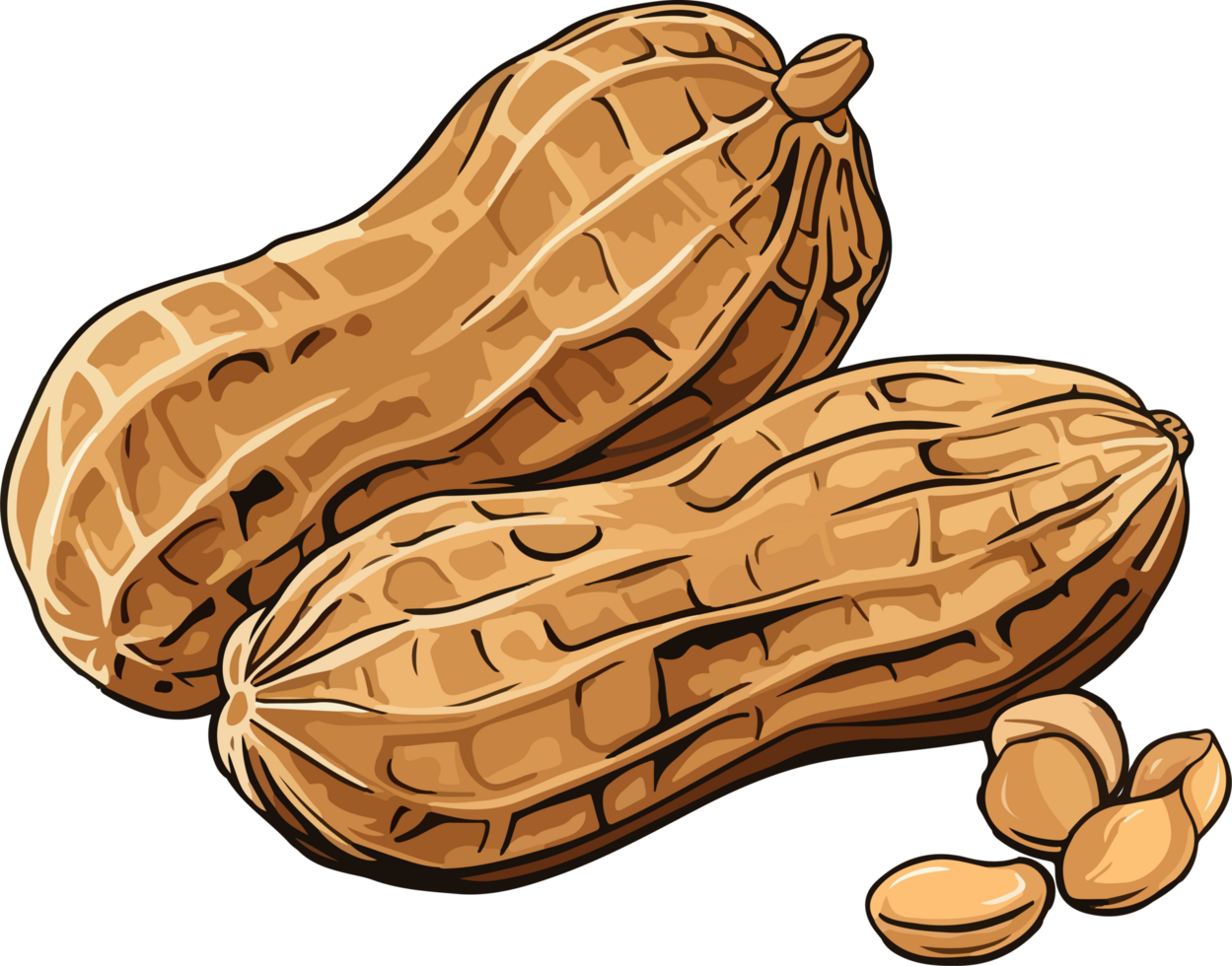 AI generated peanut illustration isolated on transparent background. png
