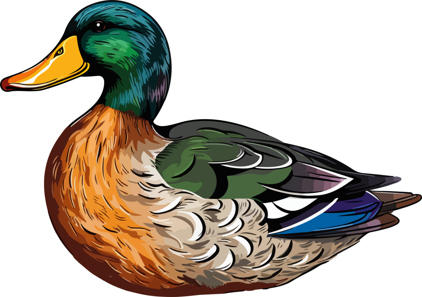 AI generated wild duck illustration isolated on transparent background. png