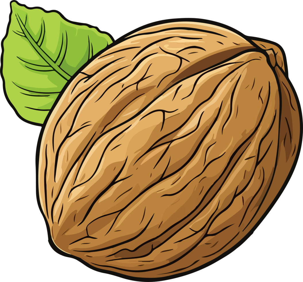 AI generated walnut  illustration isolated on transparent background. png