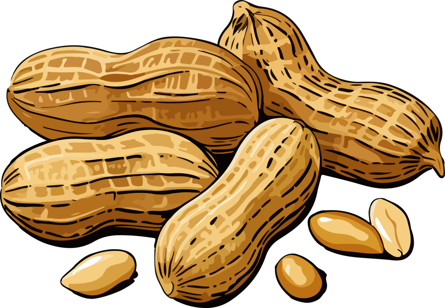 AI generated peanut illustration isolated on transparent background. png