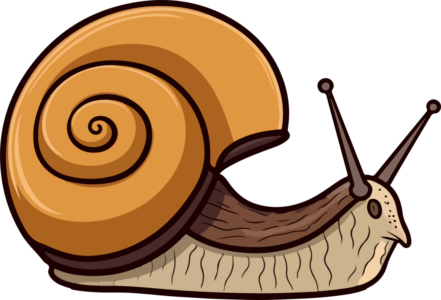 AI generated snail illustration isolated transparent background. png