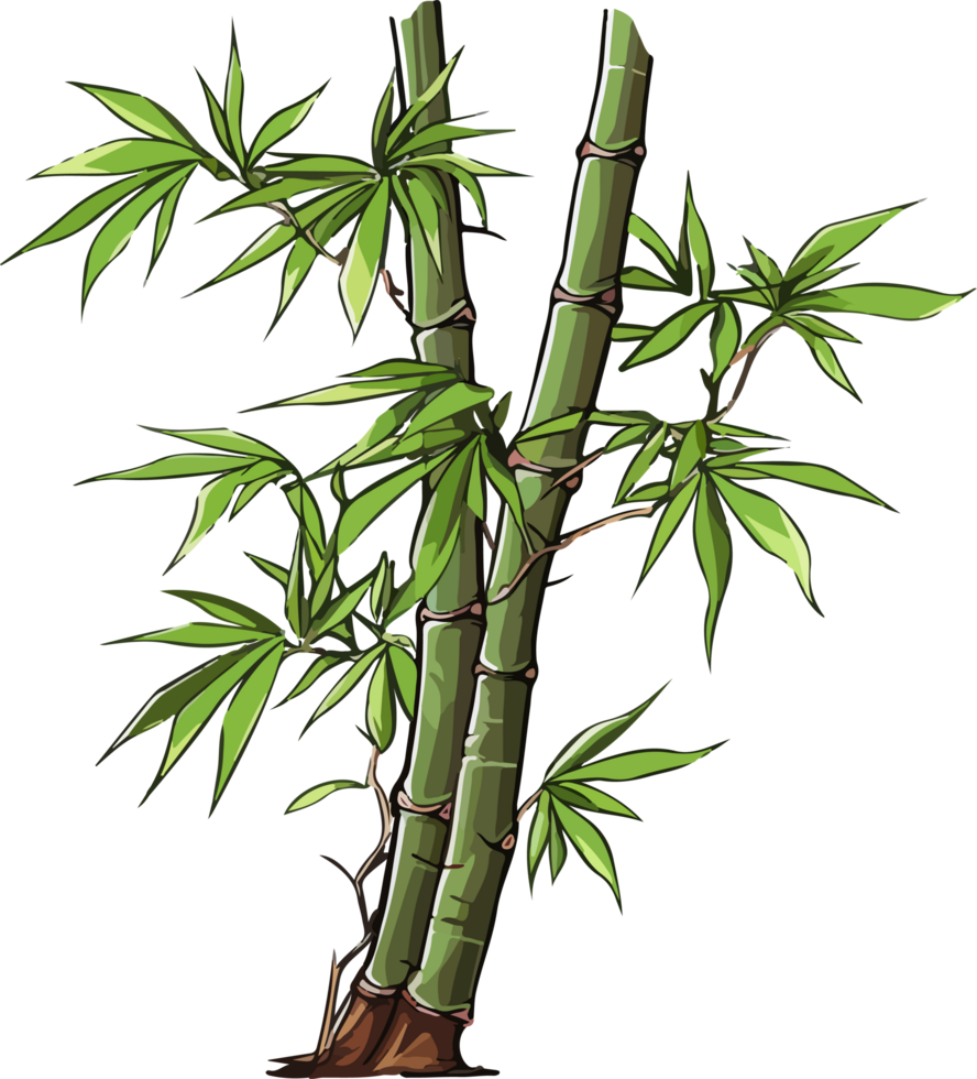 AI generated bamboo illustration isolated on transparent background. png