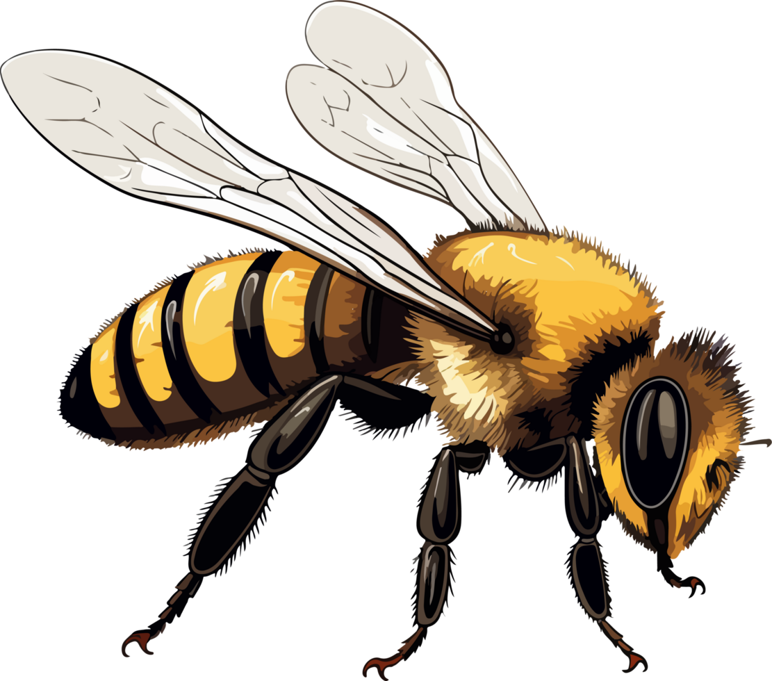 AI generated bee illustration isolated on transparent background. png