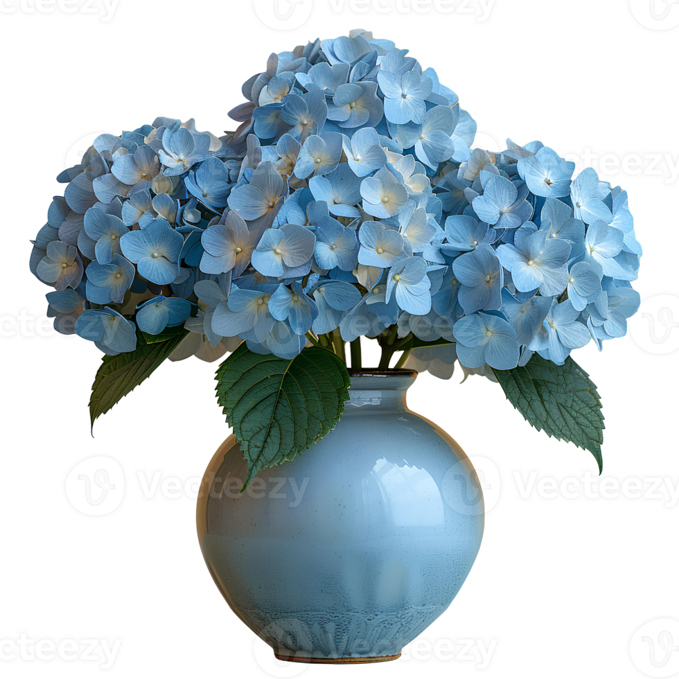 AI generated bouquet of flowers in a ceramic vase PNG. Bouquet of blue Hydrangea flowers isolated. Flowers in vase PNG. Blooming flowers png