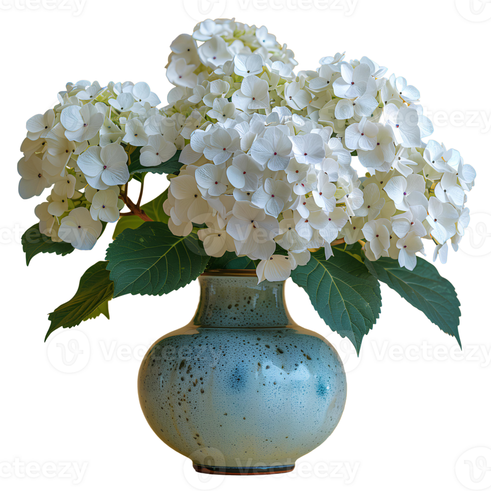 AI generated bouquet of flowers in a ceramic vase PNG. Bouquet of white Hydrangea flowers isolated. Flowers in vase PNG. Blooming flowers png