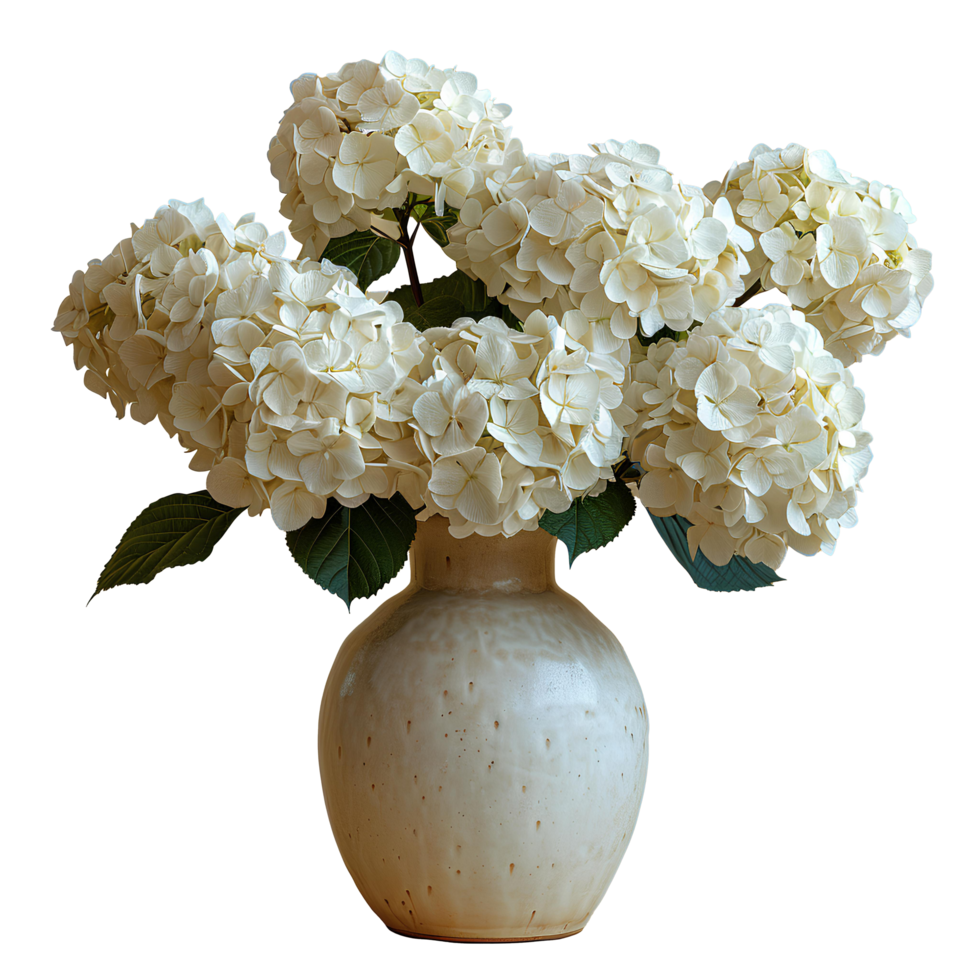 ai généré bouquet de fleurs dans une céramique vase png. bouquet de blanc hortensia fleurs isolé. fleurs dans vase png. épanouissement fleurs png