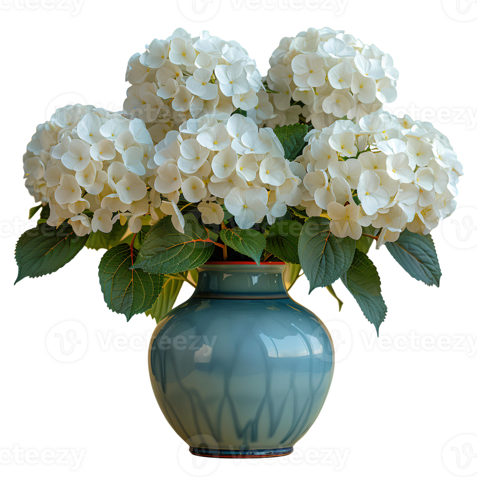 AI generated bouquet of flowers in a ceramic vase PNG. Bouquet of white Hydrangea flowers isolated. Flowers in vase PNG. Blooming flowers png