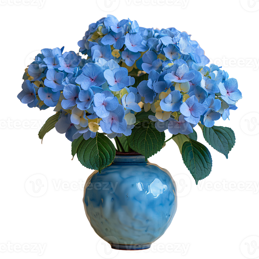 AI generated bouquet of flowers in a ceramic vase PNG. Bouquet of blue Hydrangea flowers isolated. Flowers in vase PNG. Blooming flowers png