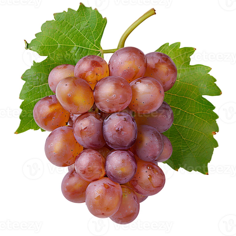 AI generated red grapes PNG. Grapes isolated. Red grapes top view. Red grapes flat lay png