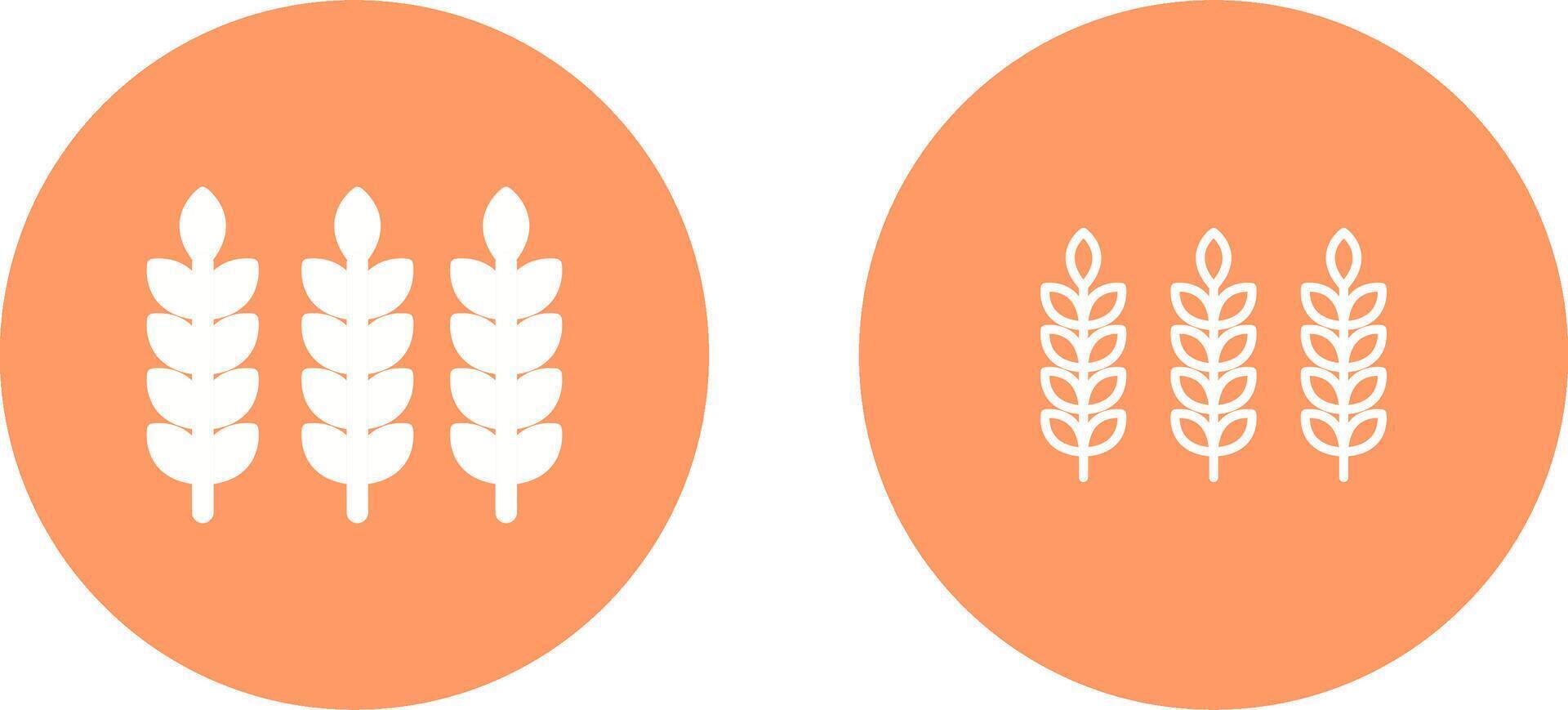 Wheat Vector Icon