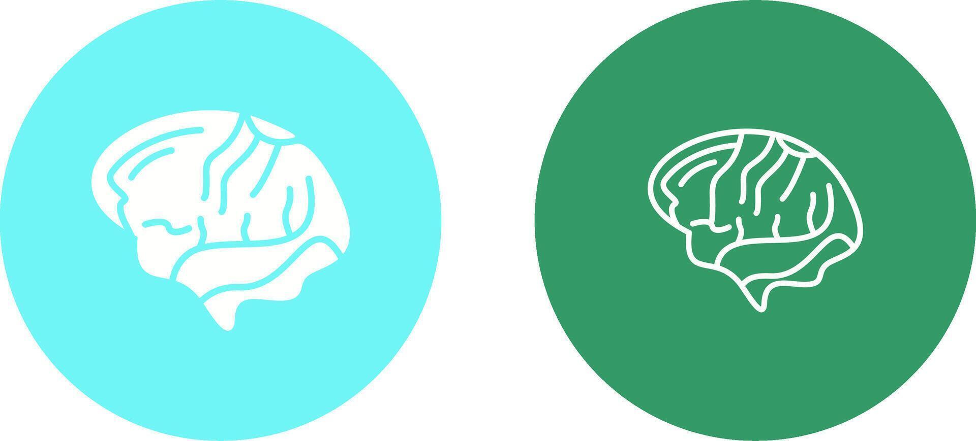 Brain Vector Icon