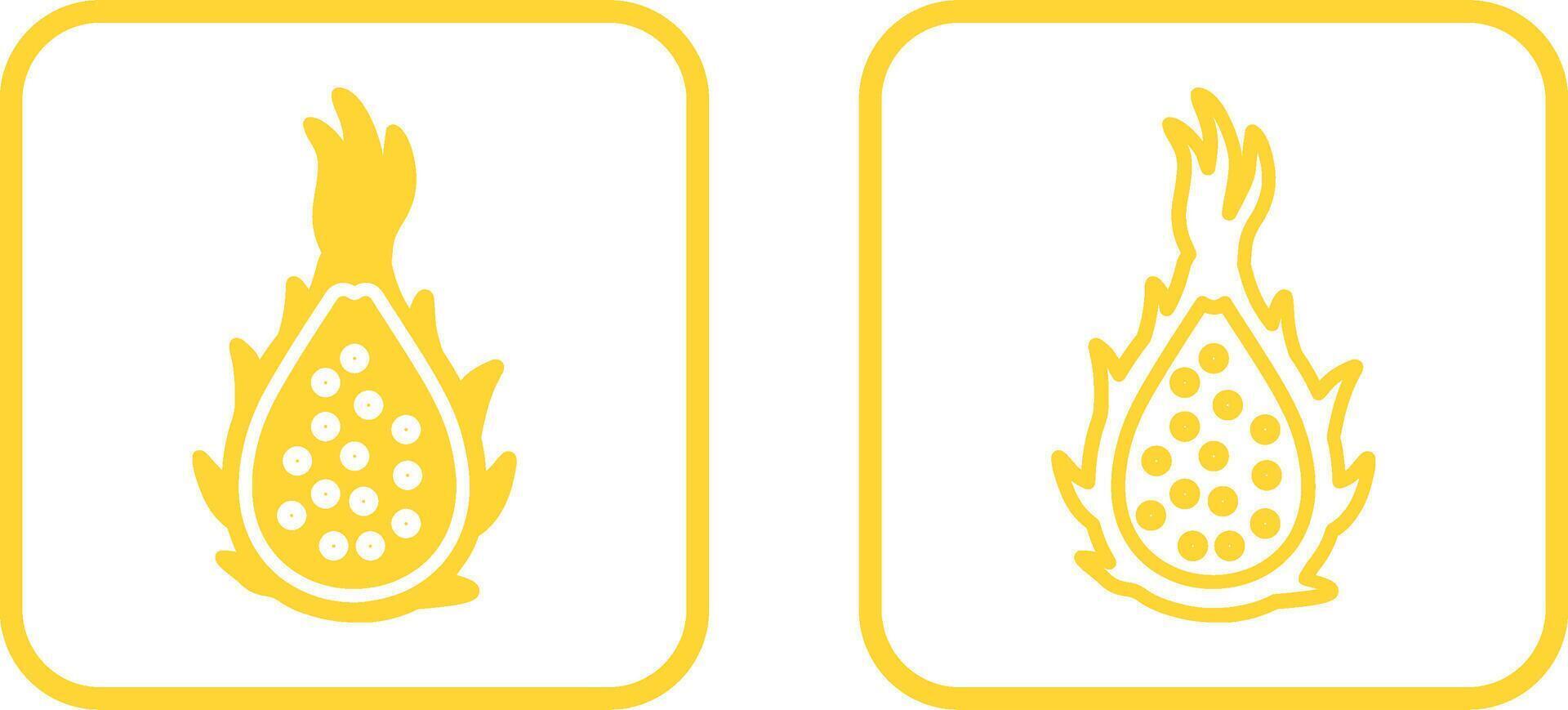 Dragon Fruit Vector Icon