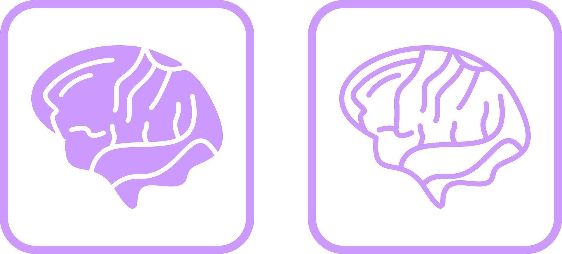 Brain Vector Icon
