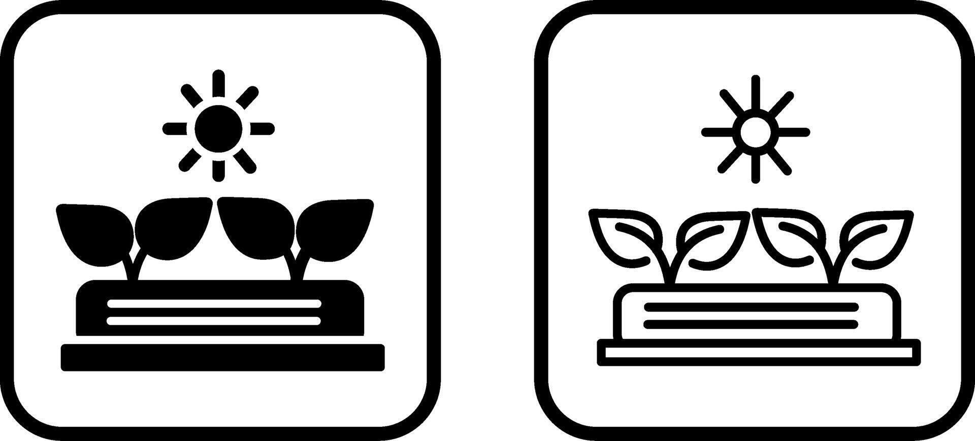 Plants Vector Icon