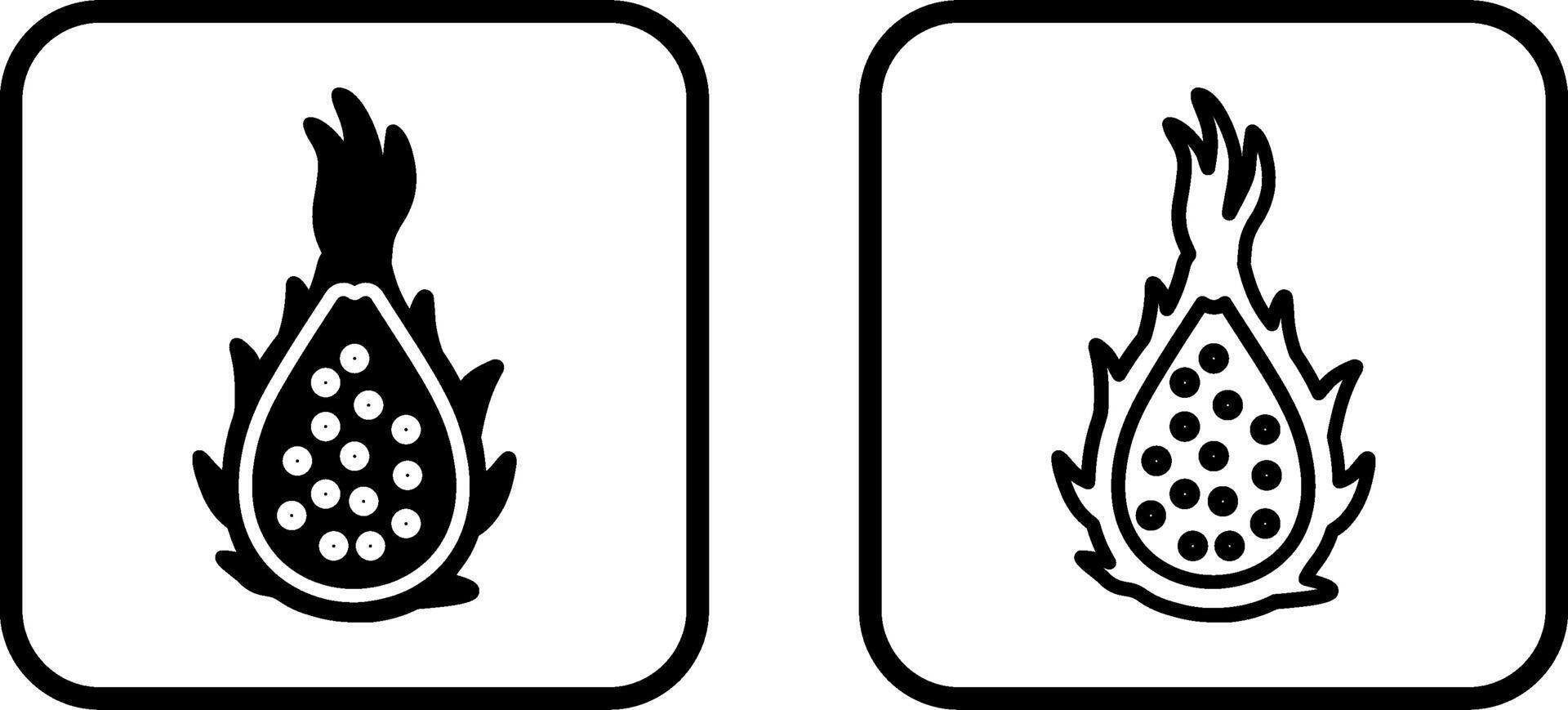 Dragon Fruit Vector Icon