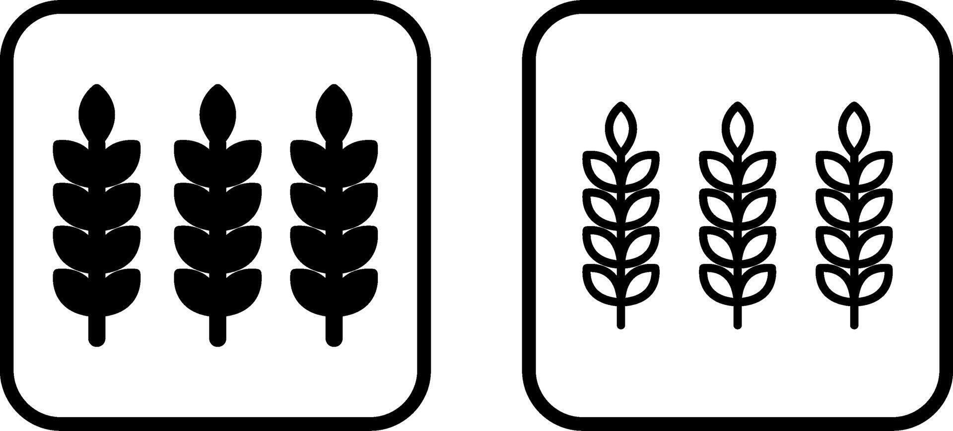 Wheat Vector Icon