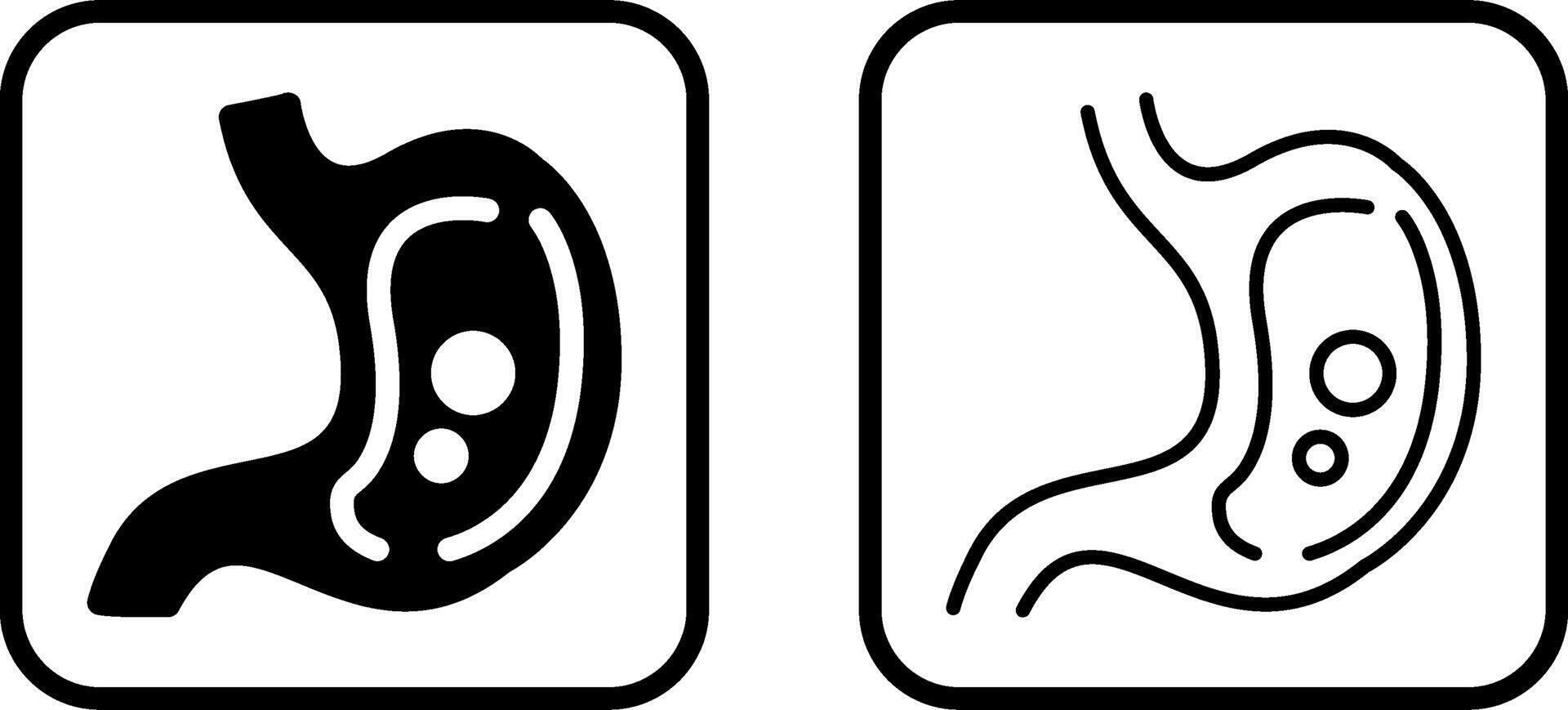 Stomach Vector Icon