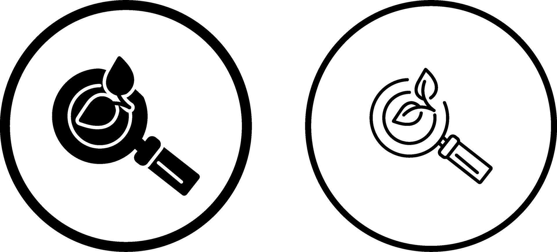 Organic Search Vector Icon
