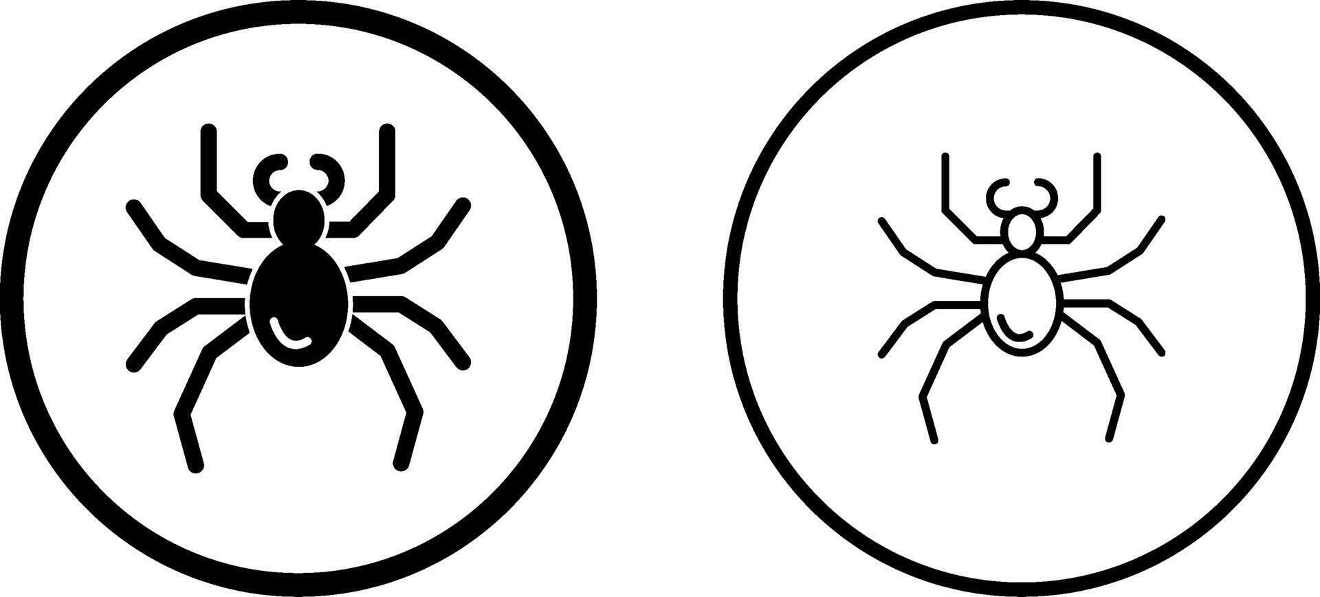 Spider Vector Icon