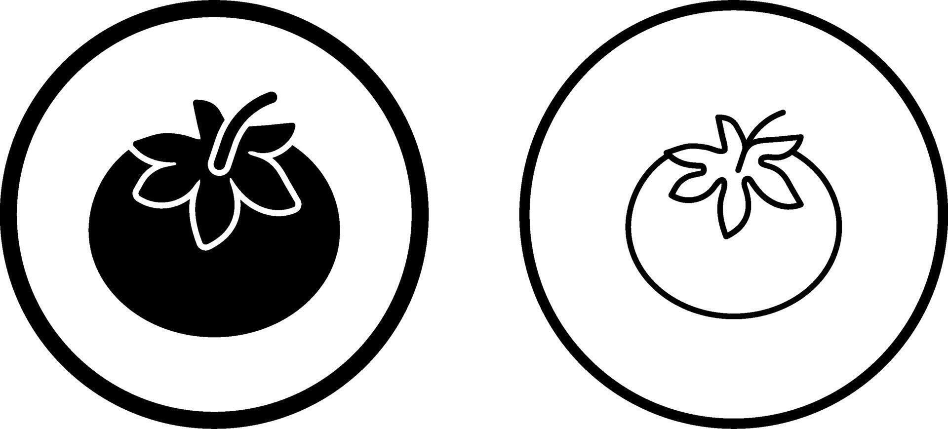 Tomato Vector Icon