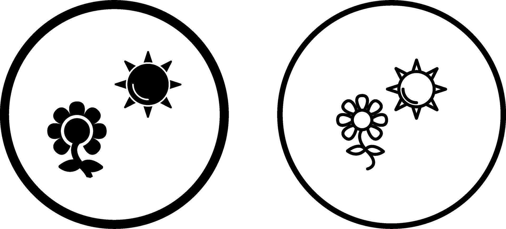 Flower in sunlight Vector Icon