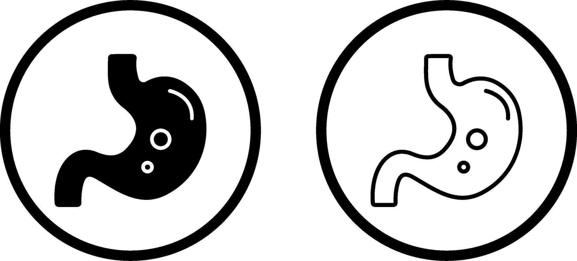 Stomach Vector Icon