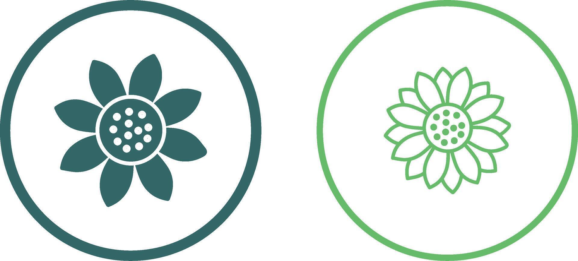 Sunflower Vector Icon