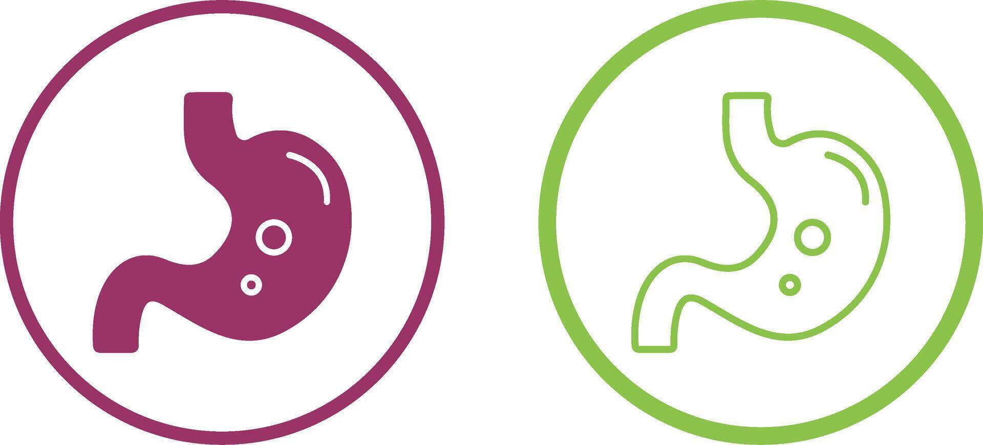 Stomach Vector Icon