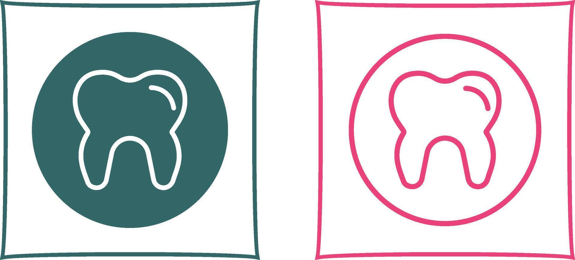 Teeth Vector Icon