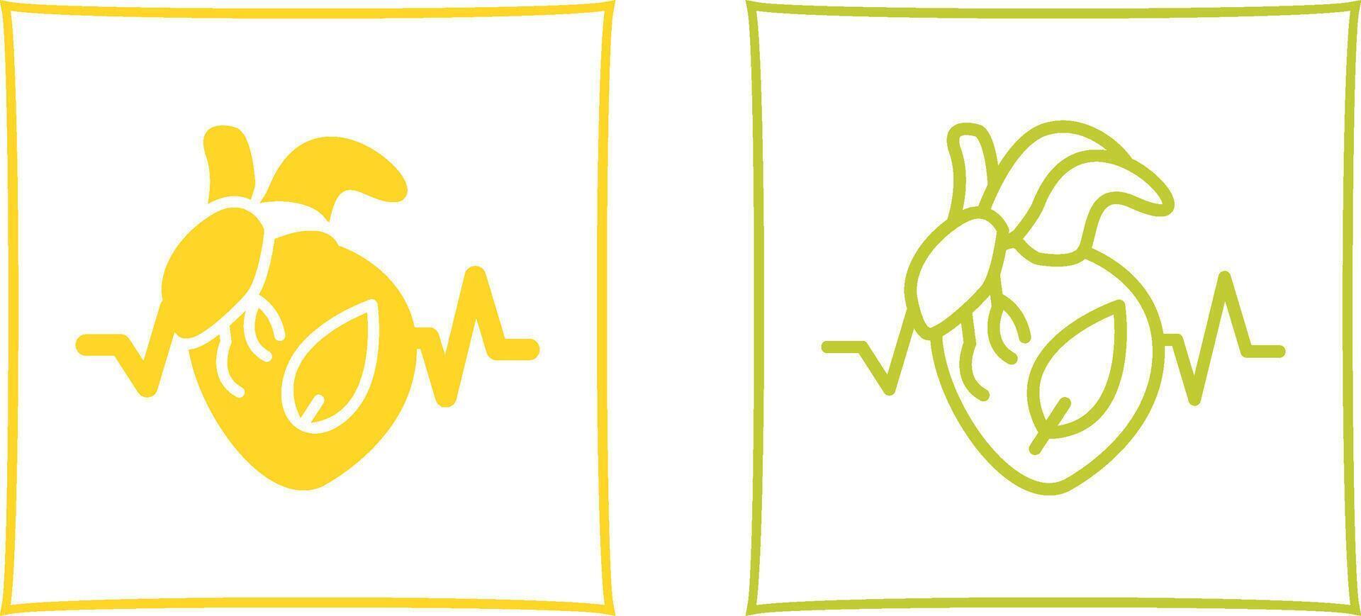 Health Vector Icon