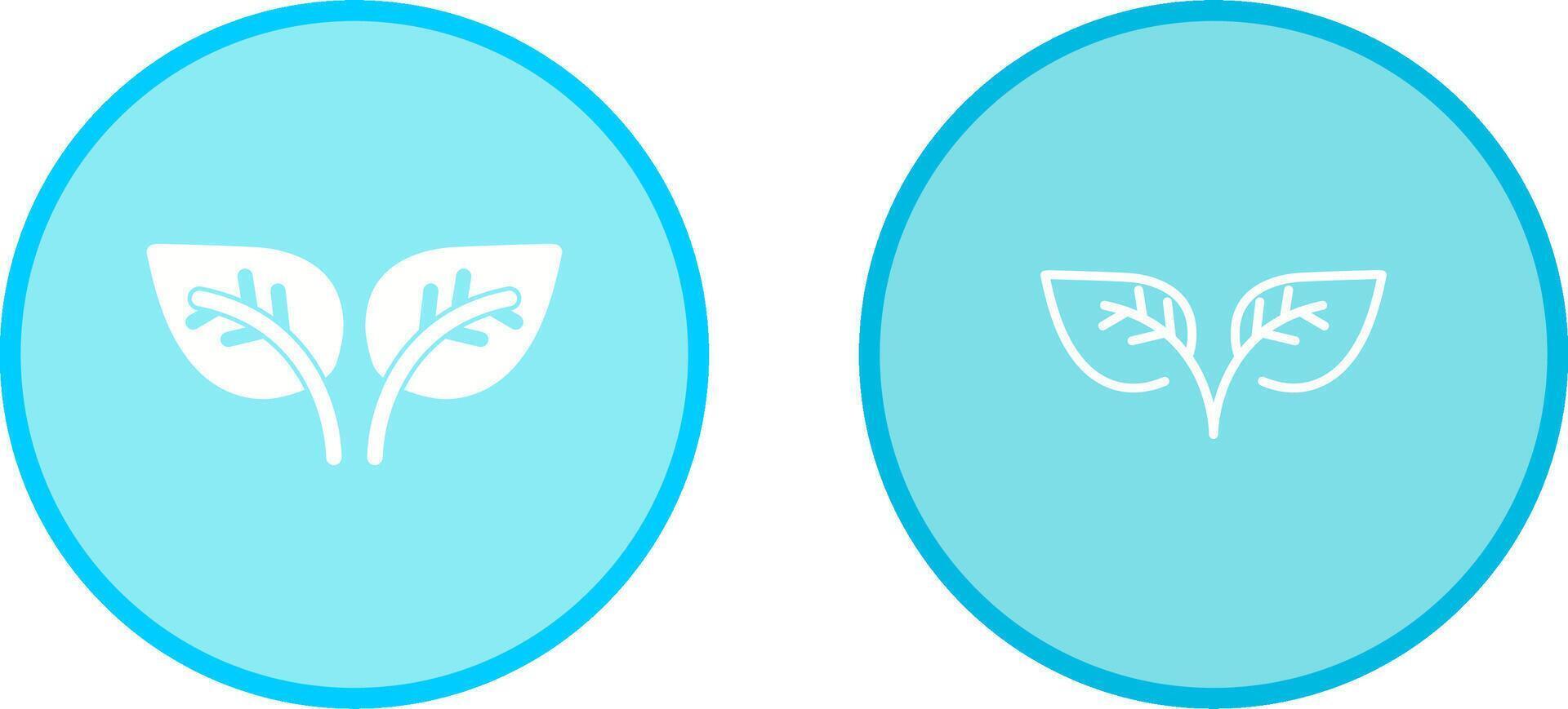 Leaf Vector Icon