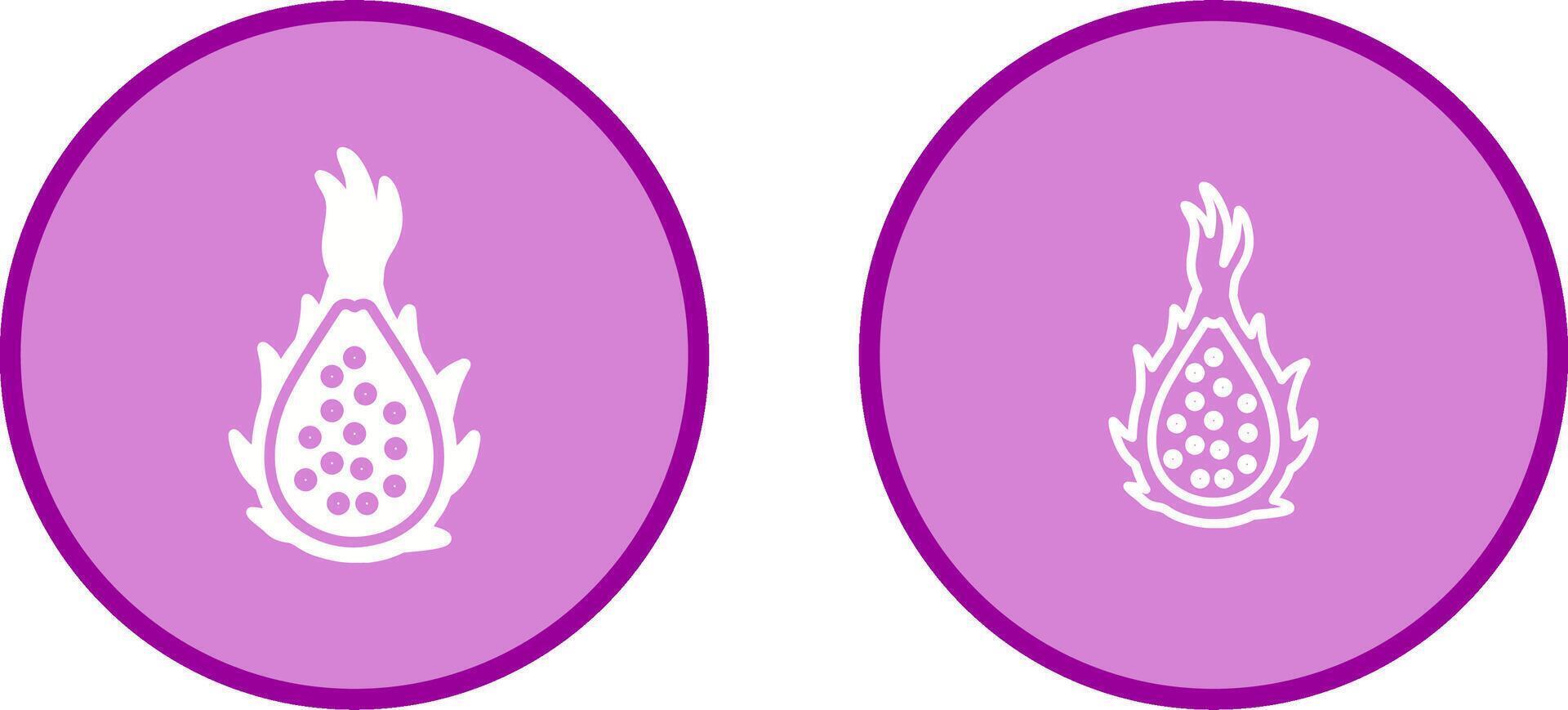 Dragon Fruit Vector Icon