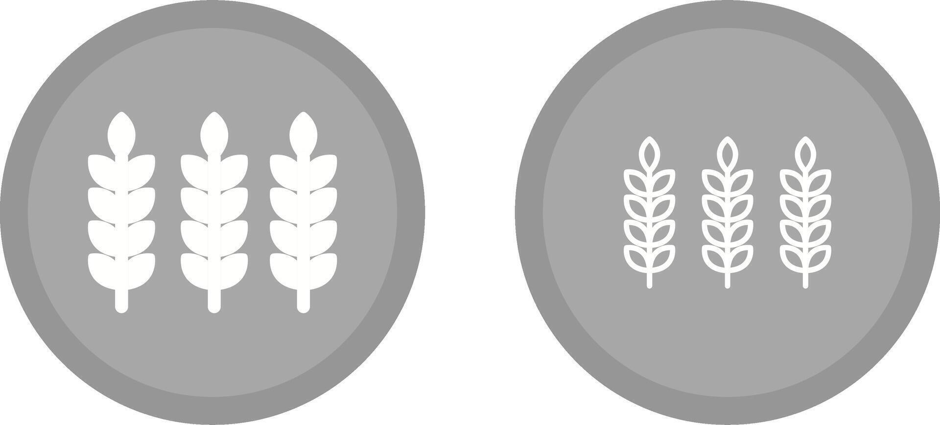 Wheat Vector Icon