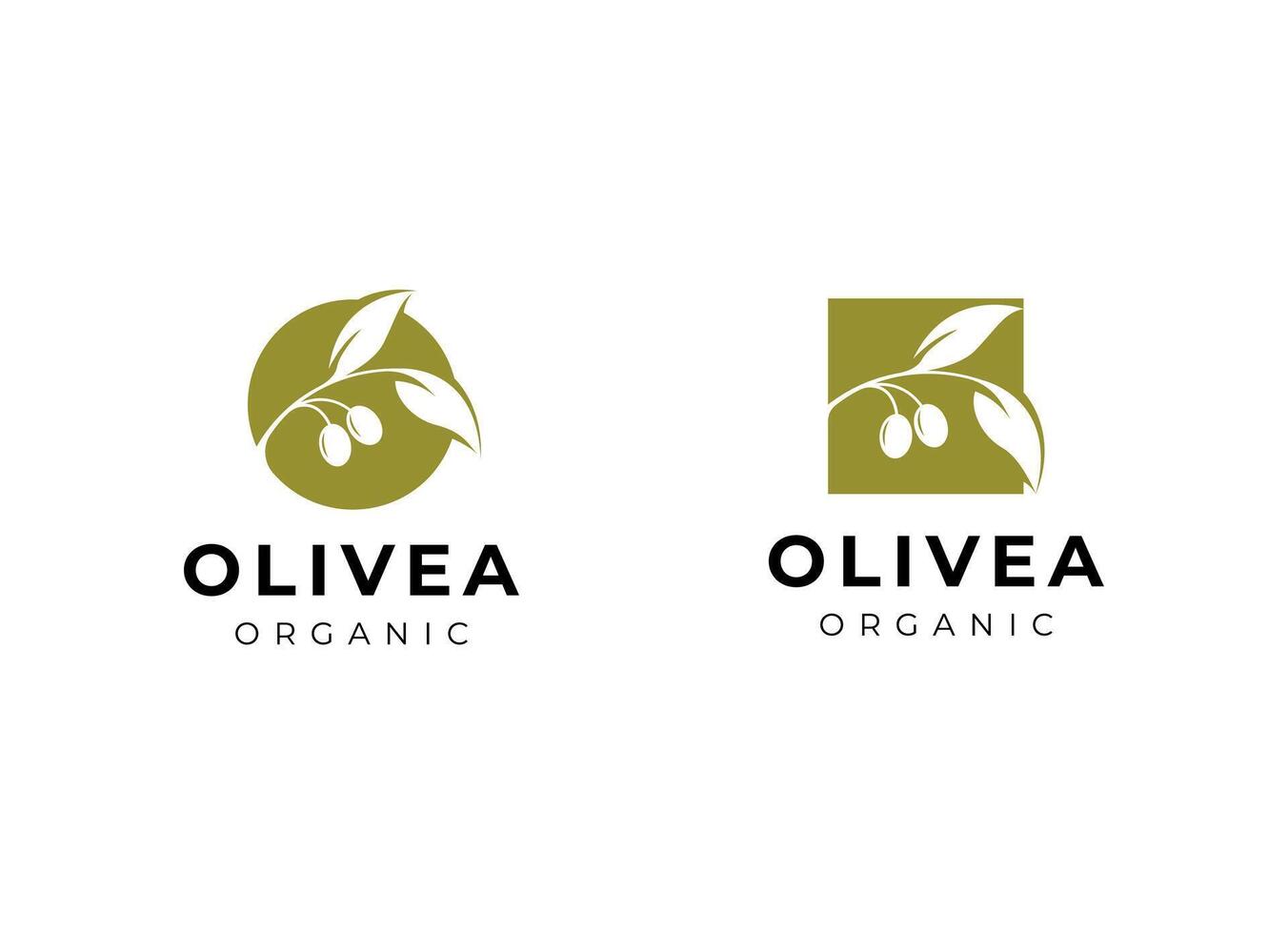 Olive oil logo vector design